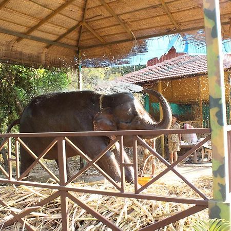 Shangri La Jungle Village Molem Zewnętrze zdjęcie