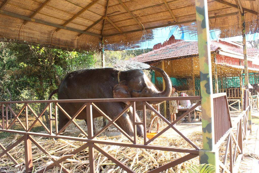 Shangri La Jungle Village Molem Zewnętrze zdjęcie